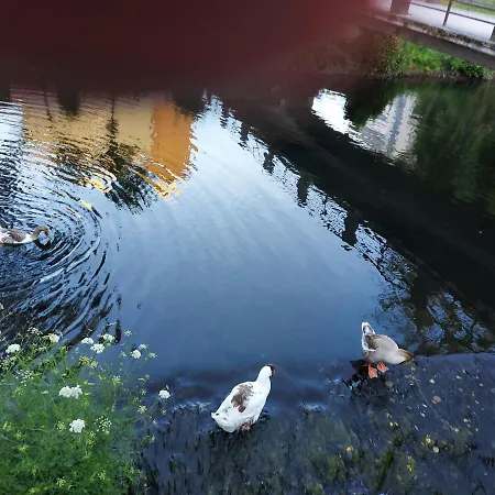 Sleeping Maison d'hôtes