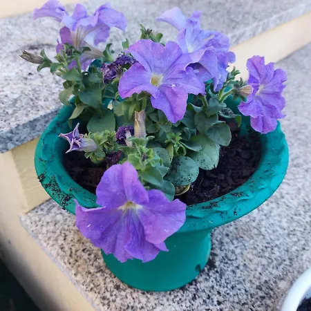 Sleeping Pensjonat Sarria