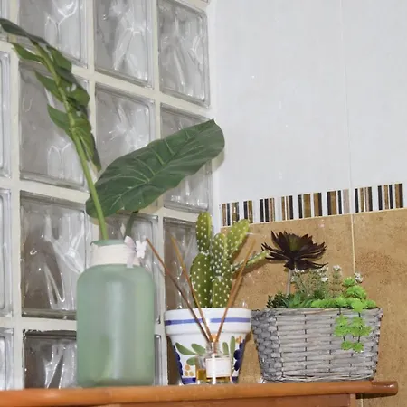 Konukevi Sleeping 3*