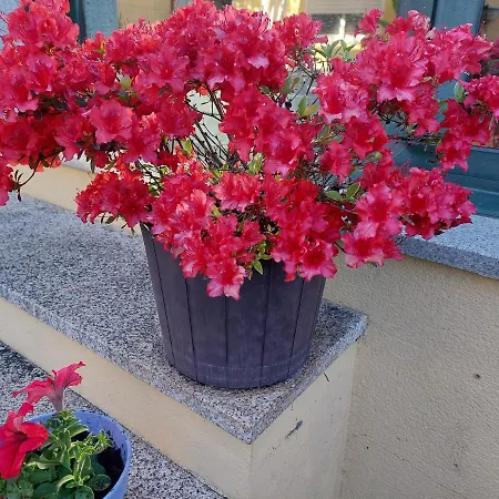 Sleeping Pensjonat 3*