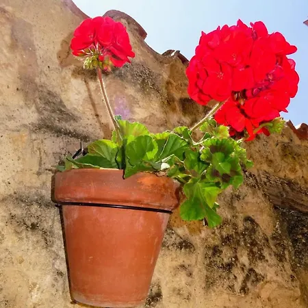 Sleeping Pensjonat Sarria