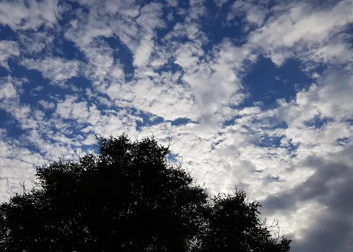 Konukevi Sleeping 3*