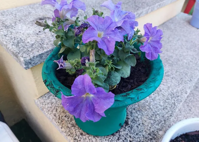 Sleeping Konukevi Sarria