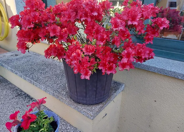 Sleeping Konukevi 3*