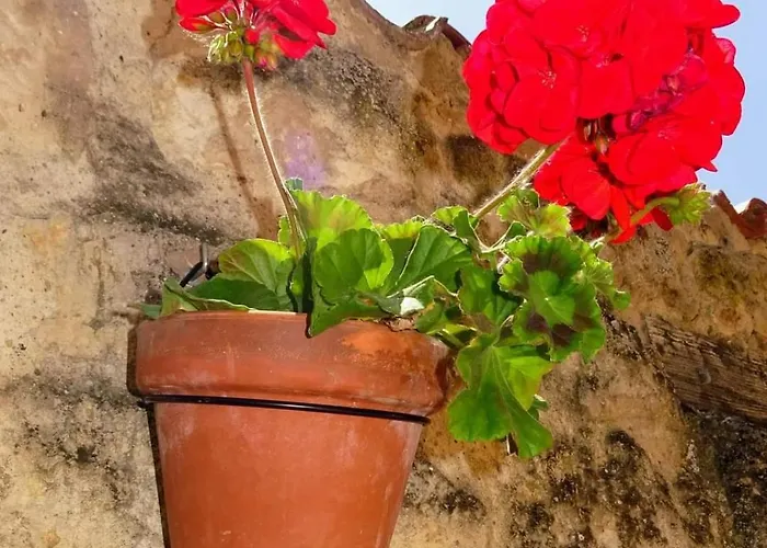 Sleeping Konukevi Sarria